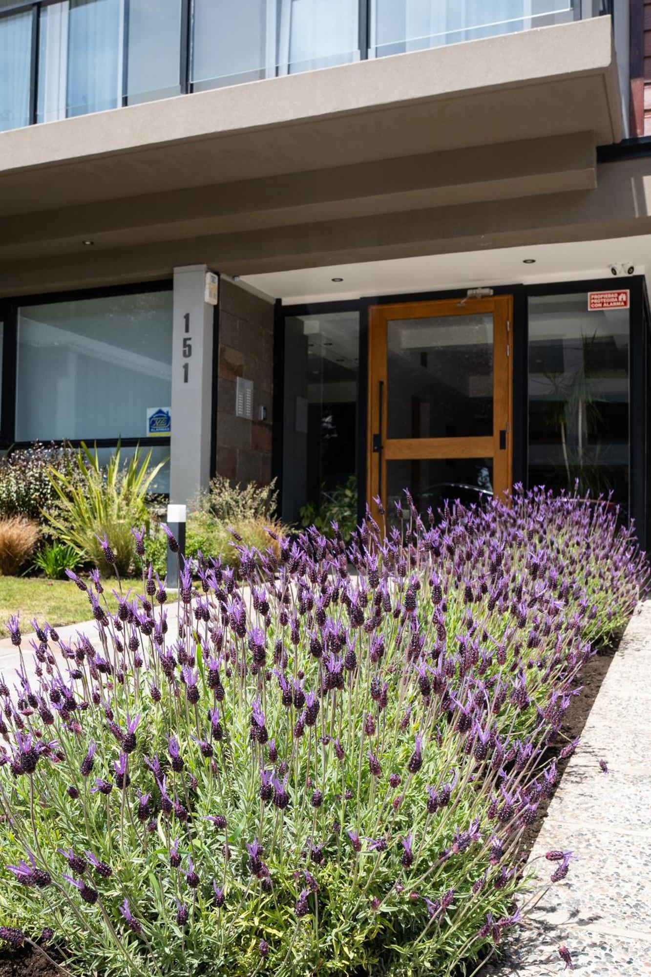 Portales De La Patagonia Apartments سان كارلوس دي باريلوتشي المظهر الخارجي الصورة