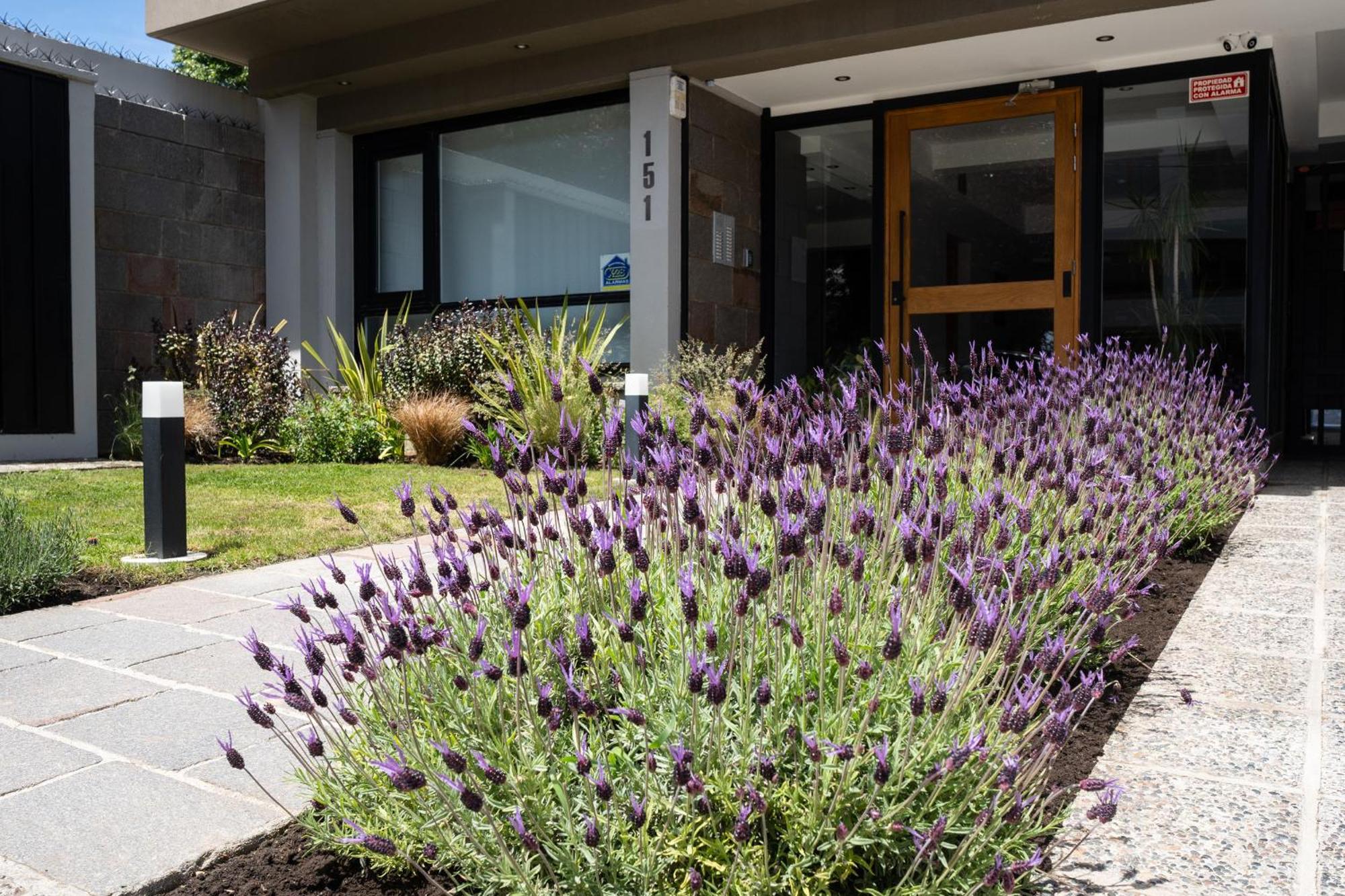 Portales De La Patagonia Apartments سان كارلوس دي باريلوتشي المظهر الخارجي الصورة